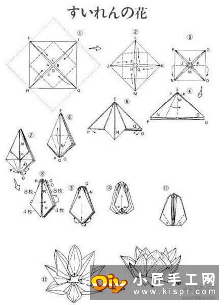 复杂莲花的折纸方法图解 睡莲的折法步骤图