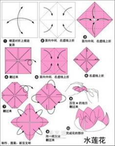 手工鲸鱼折纸图解教程 卡通鲸鱼的折法步骤
