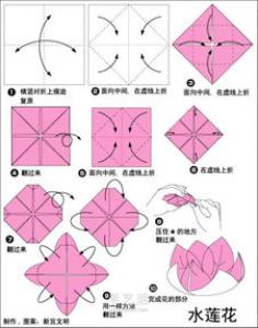 手工鲸鱼折纸图解教程 卡通鲸鱼的折法步骤