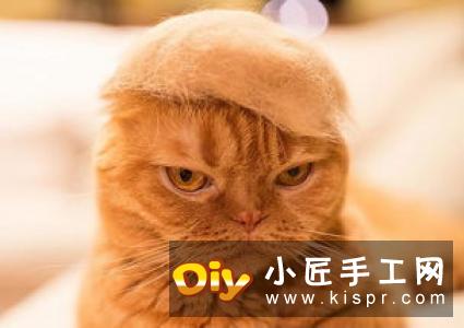 猫奴还不快来拜见！坐姿立体猫咪的折纸图解