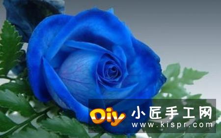 婚礼用纸花球的制作方法 纸花球的做法图解