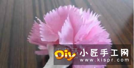手揉纸上剪下圆纸片,一朵康乃馨需要7片。