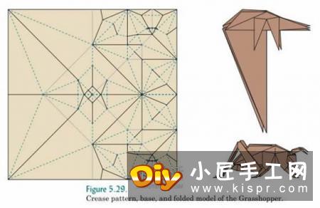 折纸设计基础知识 另含折纸技术和蛇腹入门