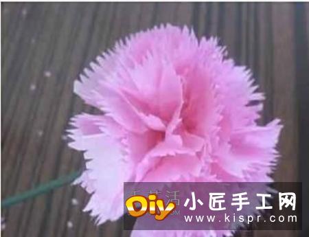 手揉纸上剪下圆纸片,一朵康乃馨需要7片。
