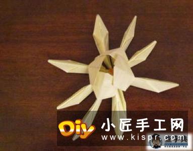 胡萝卜是一种营养很丰富的蔬菜,可以用来炒菜,还可以生吃