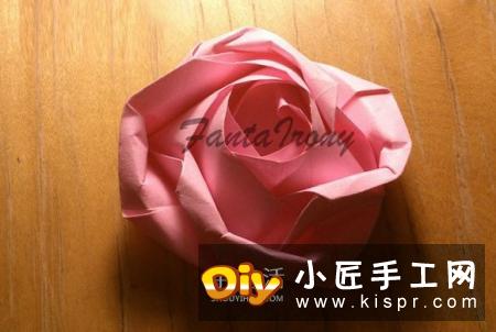 玫瑰原产中国,是英国的国花。花语:爱情、爱与美、容光焕发、勇敢、高贵.