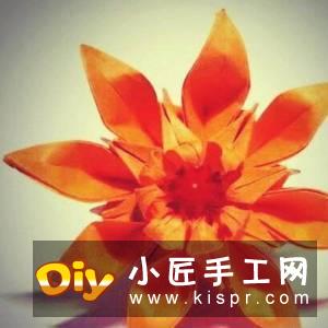 六瓣百合花折纸图解 折纸六瓣百合的方法教程