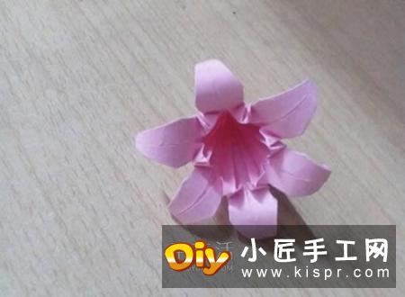 六瓣百合花折纸图解 折纸六瓣百合的方法教程