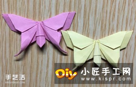 美丽的蝴蝶折纸,详细的文字讲解