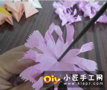 手揉纸上剪下圆纸片,一朵康乃馨需要7片。