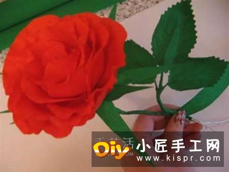 皱纹纸做花：漂亮纸玫瑰花的制作方法图解