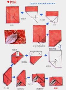 纸球的折法步骤图片 折纸彩球的详细步骤图