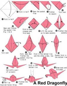 简单手工折纸鸽子图解 幼儿学折鸽子的教程
